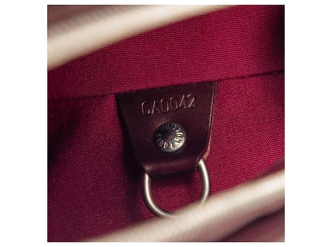 Louis Vuitton Red Monogram Mat Alston Rosso Bordò - vista 6