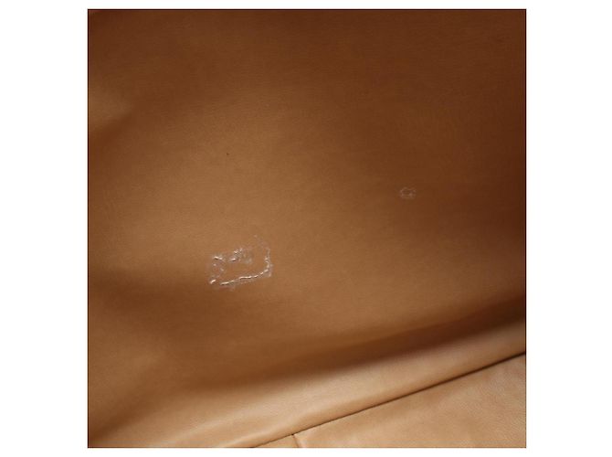 Borsa Tote Chanel Matelassé Coco Ball Beige - vista 13