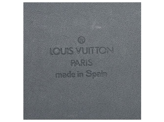 Louis Vuitton Vintage Cyber Epi Leather Millennium Day Meets Night Small Agenda Verde - vista 6