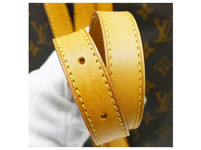 Zaino Louis Vuitton Randonnee Monogram Canvas GM Marrone - vista 6