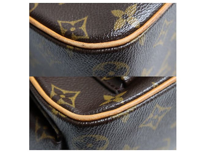 Borsa Louis Vuitton Excentrie Cité Marrone - vista 7