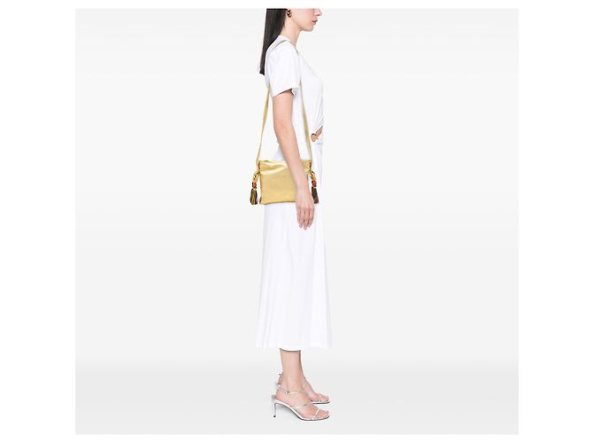 LOEWE Borsa a tracolla Flamenco in Nappa oro D'oro - vista 6