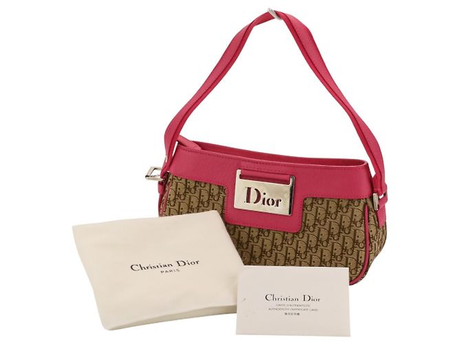 Borsa Christian Dior Trotter Street Chic Rosa Beige - vista 14