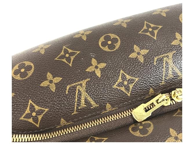 Borsa Louis Vuitton Monogram Evasion Marrone - vista 14