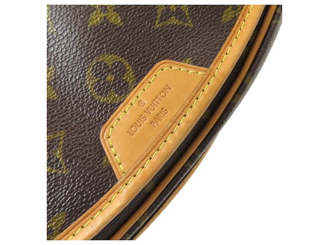 Borsa a Spalla Louis Vuitton Monogram Monogramma - vista 15