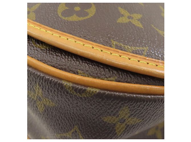 Borsa a Spalla Louis Vuitton Monogram Monogramma - vista 21