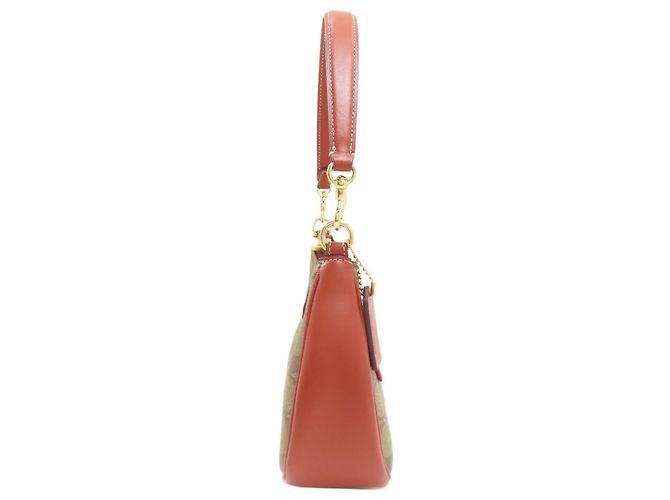 Borsa Tote Coach CE848 Terri Peanuts Collaboration Marrone - vista 3