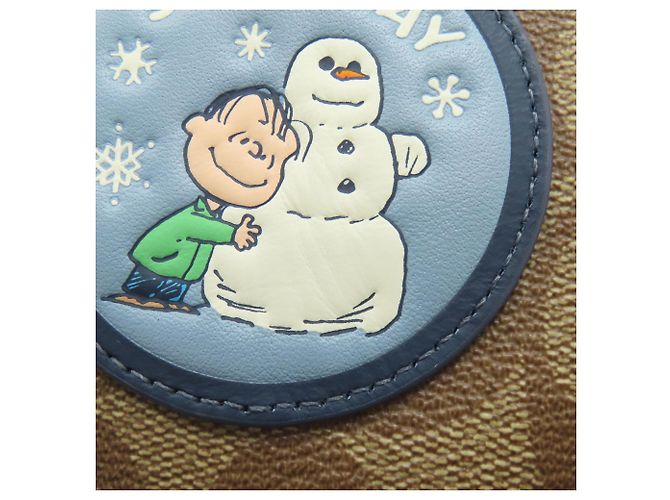 Borsa Tote Coach CE848 Terri Peanuts Collaboration Marrone - vista 8