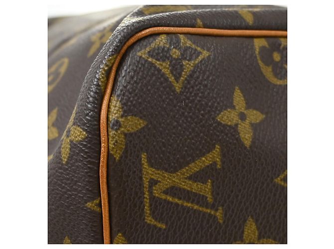 Louis Vuitton Speedy Monogram Canvas 30 - vista 6