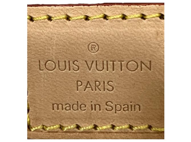 Borsa Marie Louis Vuitton Marrone Blu Beige - vista 4