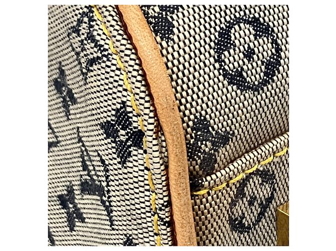 Borsa Marie Louis Vuitton Marrone Blu Beige - vista 5