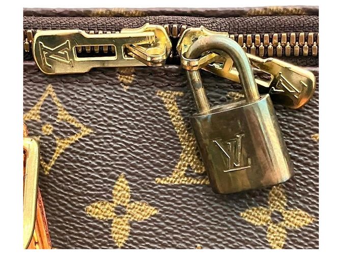 Borsa Louis Vuitton Monogram Alma PM Marrone - vista 6