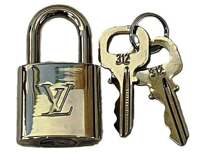 Borsa e Valigetta Louis Vuitton Taiga Igor Marrone - vista 5