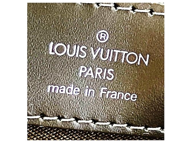 Borsa e valigetta Louis Vuitton Taiga Kasbek GM Marrone - vista 4