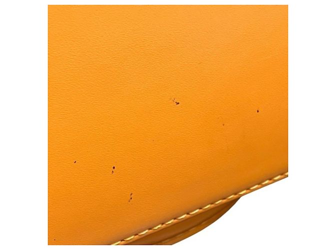 Borsa Louis Vuitton Epi Jasmine Giallo - vista 8