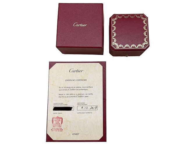 Fede Cartier Platinum D'amour - vista 5