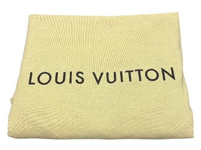 Borsa Louis Vuitton Damier Rivera MM Marrone - vista 5