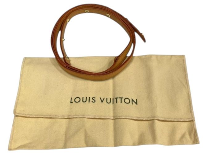 Clutch Pochette Florentine Louis Vuitton Marrone - vista 5