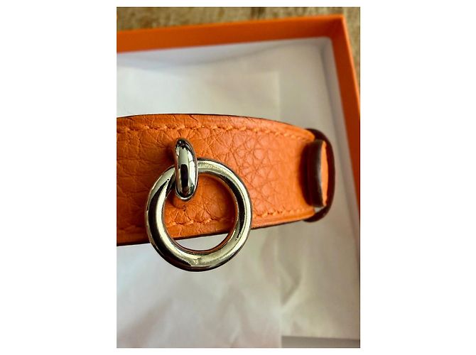 Hermès Orange Grained Leather Dog Collar - view 13