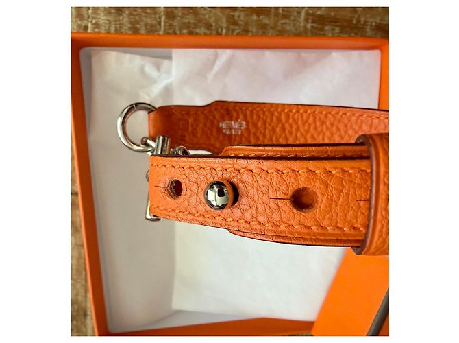 Hermès Orange Grained Leather Dog Collar - view 4