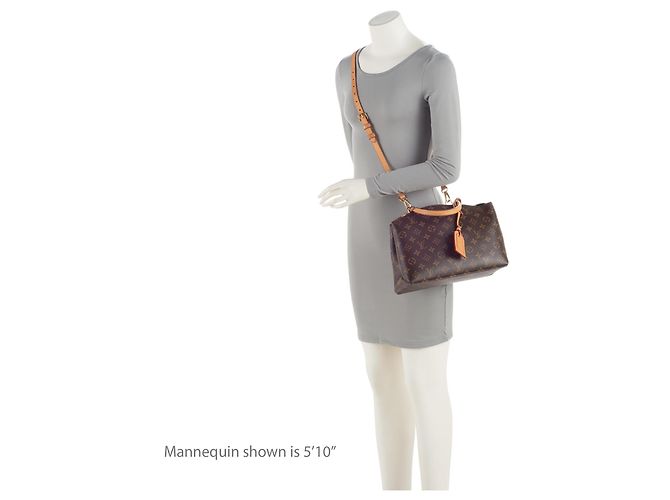 Tote Petit Palais in Canvas Monogram Louis Vuitton Marrone - vista 5