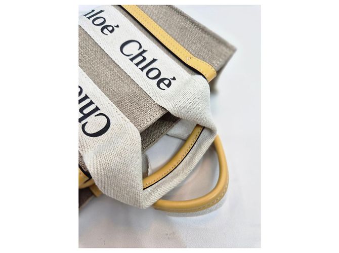 Chloé Mini tote e borsa a tracolla Woody Marrone - vista 18