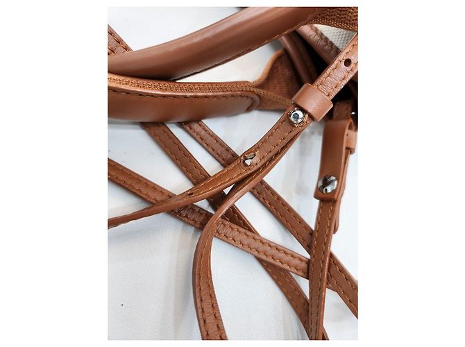 Balenciaga Cabas XS Camel Tote e Borsa a Spalla Marrone - vista 21