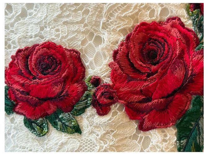 Dolce & Gabbana Robe en dentelle blanche brodée roses Rouge - vue 14