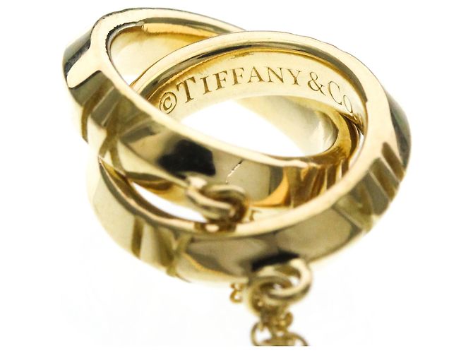 Tiffany & Co Collana chiusa Tiffany Atlas X D'oro - vista 8