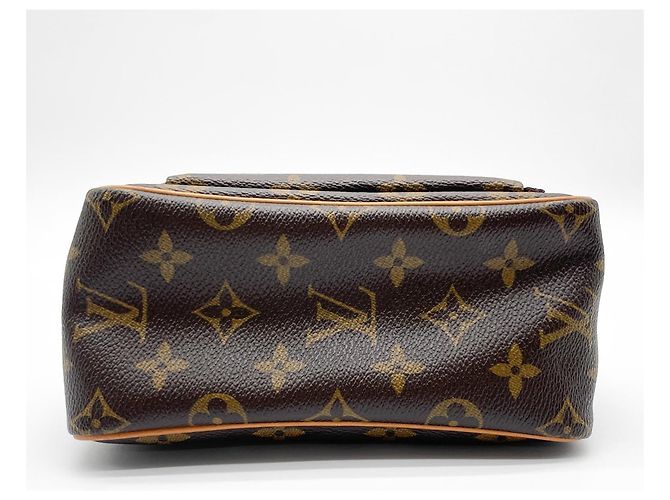 Borsa a Spalla Louis Vuitton Vivacite PM Marrone - vista 5