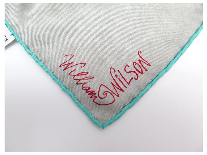 NUOVO FULLETTO LOUIS VUITTON LE VOYAGE ARIZONA WILLIAM WILSON QUADRATO 90 SETA Grigio - vista 6