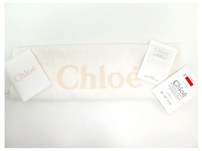Chloé NUOVA BORSA A MANO CHLOE TESS IN PELLE GRAIN GRIGIA A SPALLA Grigio - vista 16