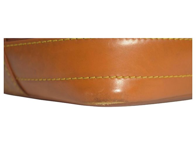 Louis Vuitton Noé Borsa a Secchiello Pelle Epi Marrone Kenyan - vista 14