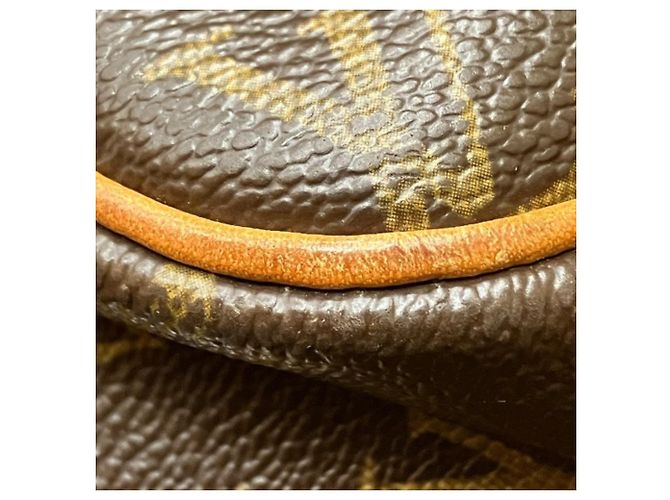 Bolso Louis Vuitton Monogram Reporter PM Castaño - vista 5