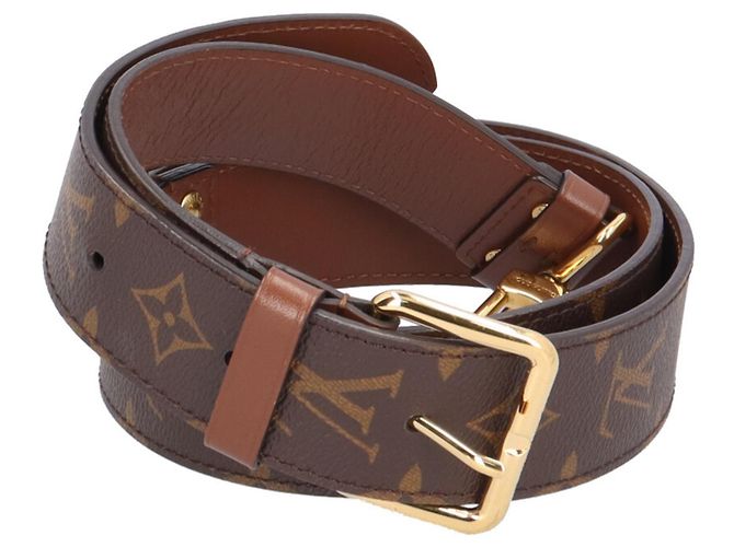 Borsa a tracolla Louis Vuitton Papillon Trunk Monogram Marrone Multicolore Monogramma - vista 10