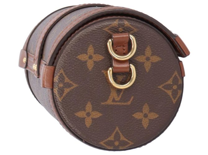 Borsa a tracolla Louis Vuitton Papillon Trunk Monogram Marrone Multicolore Monogramma - vista 5