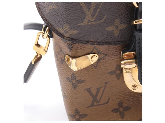 Borsa Louis Vuitton Camera Box 2-Way Marrone Nero - vista 12