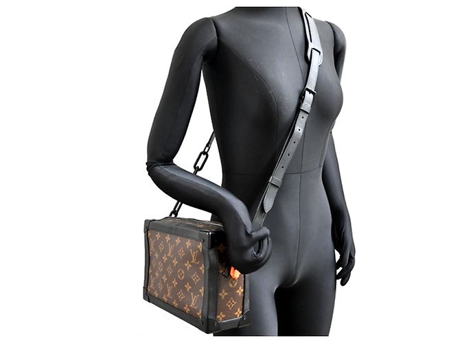 Borsa a tracolla Louis Vuitton Solar Ray Soft Trunk Marrone Nero - vista 9