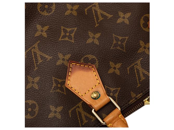 Louis Vuitton Braun Monogram Alma PM - Ansicht 7