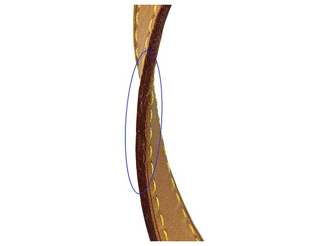 Borsa Louis Vuitton in Amarante Rosso Bordò - vista 11
