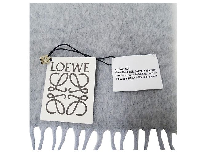 Stola in lana e mohair grigio da donna Loewe Marrone - vista 5