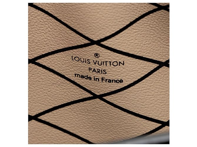 Louis Vuitton Epi Leather Trunk Clutch Black - view 8
