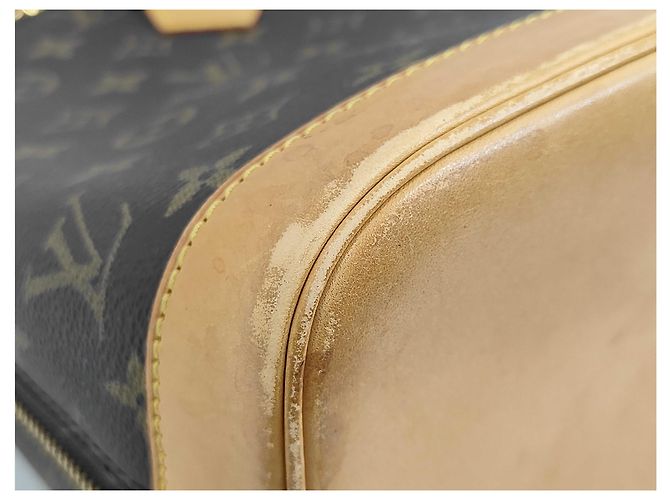 Borsa Louis Vuitton Alma Monogram Canvas PM Marrone - vista 4
