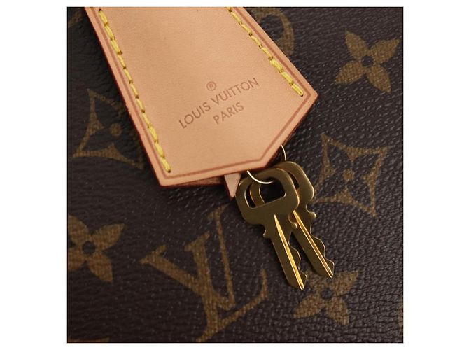 LOUIS VUITTON Borsa Monogram Alma PM M53151 LV Auth 181989SAM Monogramma - vista 15
