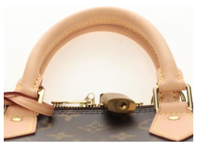 LOUIS VUITTON Borsa Monogram Alma PM M53151 LV Auth 181989SAM Monogramma - vista 8