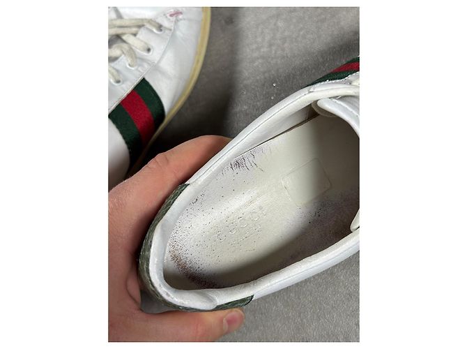 Gucci Ace Sneaker Weiß Leder Rot Grün - Ansicht 8