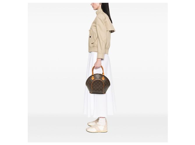 Louis Vuitton Marrone Monogram Ellipse PM - vista 8