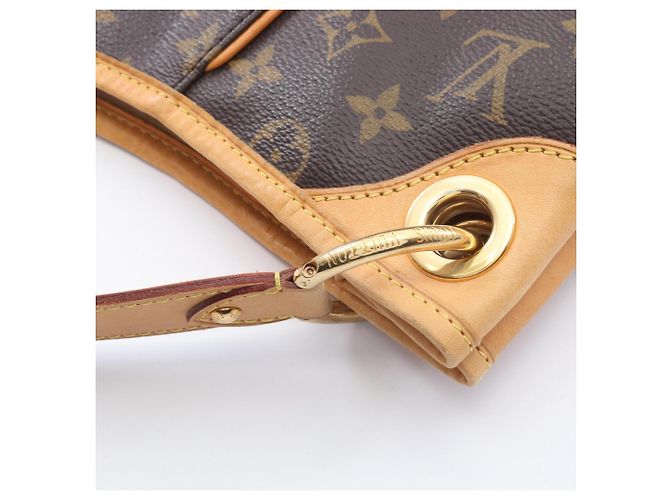 Borsa a Spalla Louis Vuitton Galliera PM Marrone - vista 6