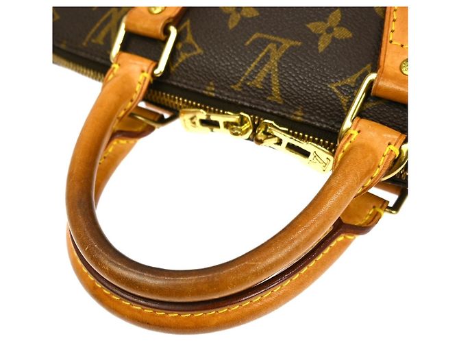 Sac à main Louis Vuitton Alma Monogram Canvas PM Marron - vue 6