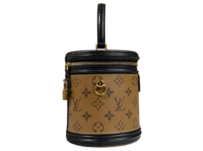 Borsa a tracolla Louis Vuitton Cannes Monogram Reverse Marrone - vista 4